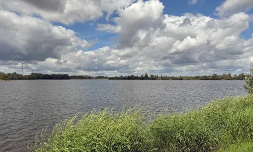 Niet-stedelijke Maasplassen