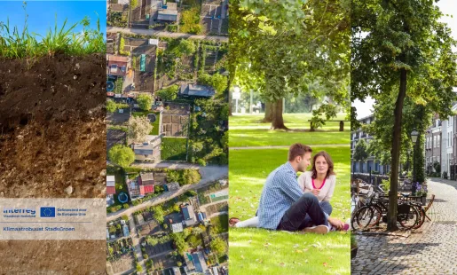 Klimaatrobuust Stadsgroen